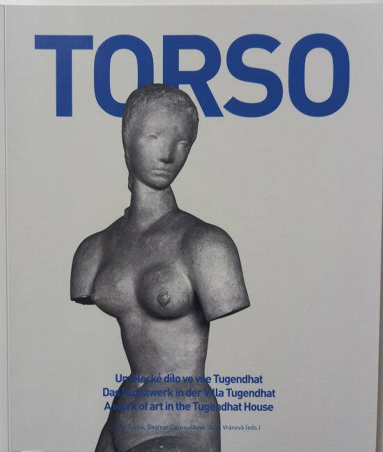 TORSO